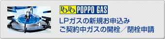 �v���p���K�X�iLP�K�X�j�̐V�K���\���݁A���_�񒆃K�X�̊J���^���̐\���͂�����
