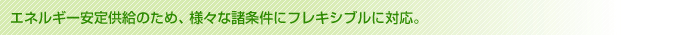 エネルギー安定供給のため、様々な諸条件にフレキシブルに対応。